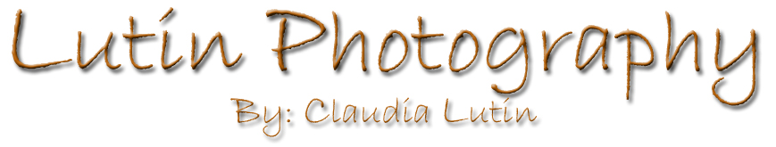 bannerimage
